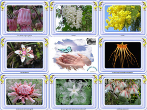 klicke hier, um die Datei herunterzuladen Wunderschöne Blumen