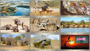 klicke hier, um die Datei herunterzuladen Botswana
