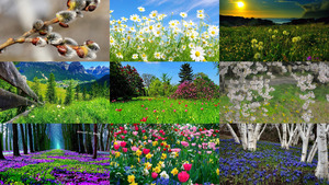 klicke hier, um die Datei herunterzuladen Frühling - Lente 23
