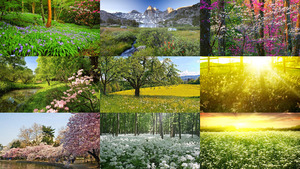 klicke hier, um die Datei herunterzuladen Frühling - Lente 22