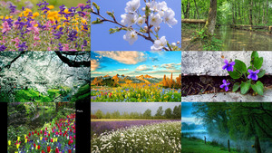 klicke hier, um die Datei herunterzuladen Frühling - Lente 20