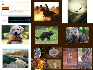 klicke hier, um die Datei herunterzuladen Pictures - Aufnahmen - Prises - Fotografias