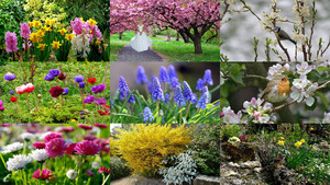 klicke hier, um die Datei herunterzuladen L' arrivée du printemps - Die Ankunft des Frühlings
