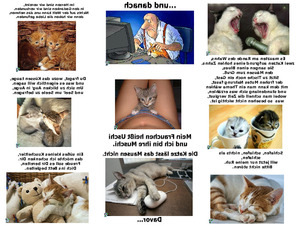 klicke hier, um die Datei herunterzuladen Katzengedanken
