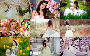 klicke hier, um die Datei herunterzuladen Spring Brides - Frühlingsbräute