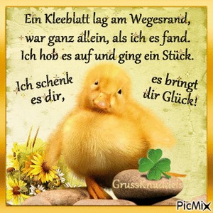Ein Kleeblatt lag am Wegesrand