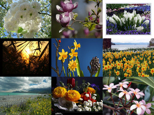 klicke hier, um die Datei herunterzuladen Frühling
