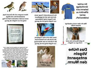 klicke hier, um die Datei herunterzuladen Ornithologen sind gut zu Vögeln