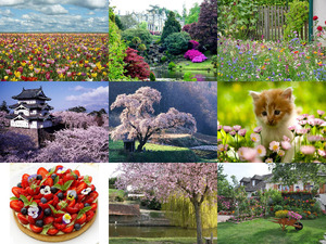 klicke hier, um die Datei herunterzuladen Bienvenue au Printemps - Willkommen zum Frühling