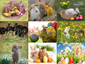 Frohe Ostern