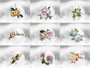 klicke hier, um die Datei herunterzuladen Roses - Ave Maria - Rosen - Ave Maria