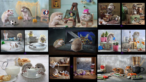 klicke hier, um die Datei herunterzuladen From the life of Hedgehogs - Aus dem Leben der Igel