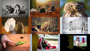 klicke hier, um die Datei herunterzuladen Humans & Animals - Menschen & Tiere