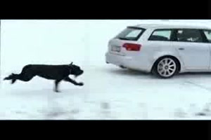 nette Autowerbung Schnee