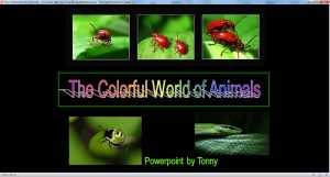 klicke hier, um die Datei herunterzuladen The Colorful World of Animals - Die bunte Welt der Tiere