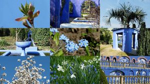 klicke hier, um die Datei herunterzuladen I see blue - Ich sehe blau