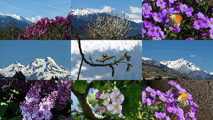 klicke hier, um die Datei herunterzuladen Nature - Natur