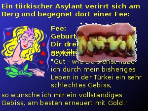 klicke hier, um die Datei herunterzuladen Asylant