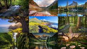 klicke hier, um die Datei herunterzuladen Beautiful Nature 140