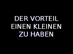 klicke hier, um die Datei herunterzuladen Der Vorteil einen Kleinen