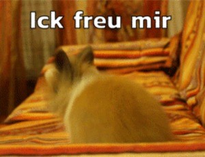 Download Gif Lustige Bilder Ich Freue Mich Pictures