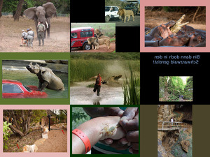 klicke hier, um die Datei herunterzuladen Reise nach Afrika