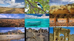 klicke hier, um die Datei herunterzuladen Afrika 3