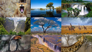 klicke hier, um die Datei herunterzuladen Afrika 2