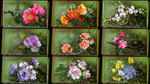 Flowers - Life Color Smell Joy - Blumen-Leben-Farbe-Geruch