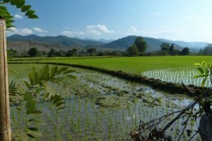 Impressionen aus Laos 2