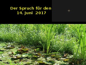 Der Spruch fuer 14.06.17