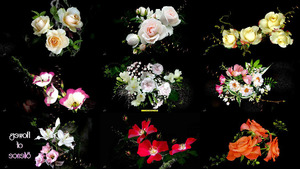 klicke hier, um die Datei herunterzuladen Flowers Of Silence - Blumen der Stille