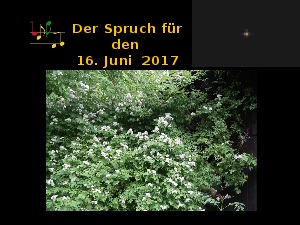 klicke hier, um die Datei herunterzuladen Der Spruch fuer 16.06.17