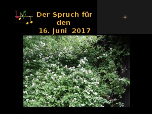 Der Spruch fuer 16.06.17