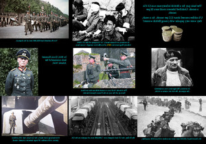 klicke hier, um die Datei herunterzuladen Facts About D-Day - Fakten über D-Day