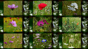 The field bouquet - Das Feld Bouquet