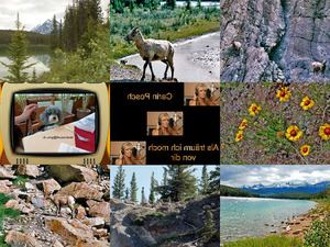 Bilder-Galerie vom 25052017 1 National Park Canada