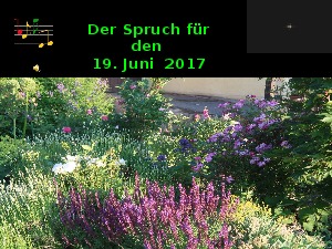 Der Spruch fuer 19.06.17