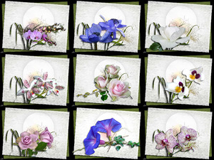 klicke hier, um die Datei herunterzuladen Voice of the Violin - Stimme der Violine (Blumen)