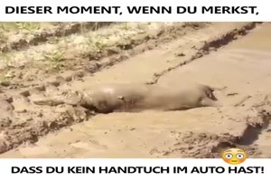 Dieser Moment