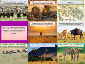 klicke hier, um die Datei herunterzuladen Serengeti