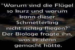 Eine traurige Geschichte vom Schmetterling