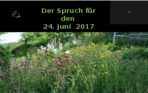 Der Spruch fuer 24.06.17