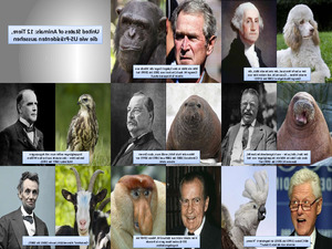 klicke hier, um die Datei herunterzuladen United States of Animals