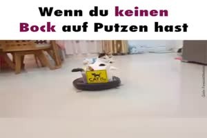 Putzen