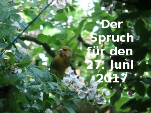 klicke hier, um die Datei herunterzuladen Der Spruch fuer 27.06.17