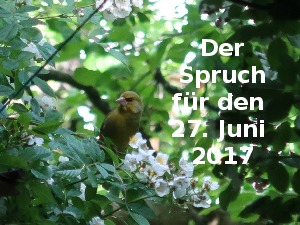 Der Spruch fuer 27.06.17