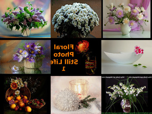 Floral Photo Still Life 1 - Blumenfoto Stillleben 1