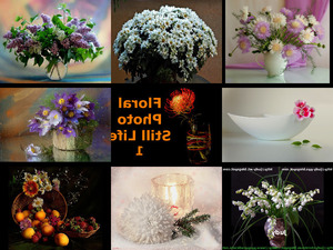 klicke hier, um die Datei herunterzuladen Floral Photo Still Life 1 - Blumenfoto Stillleben 1