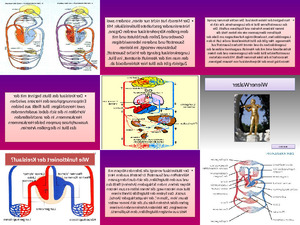 Wie funktioniert der Kreislauf